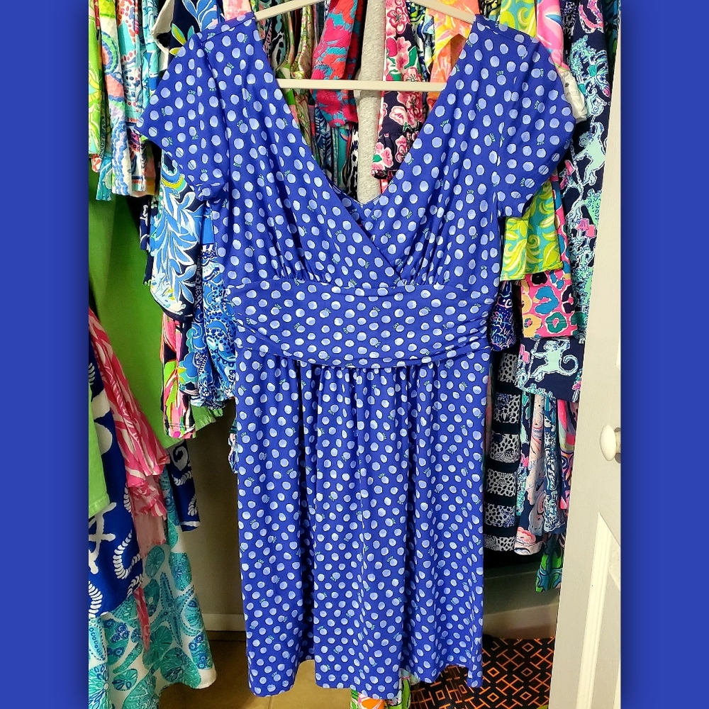 *SOLD* Lilly Pulitzer Winslow Dress NWT